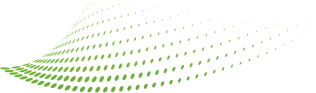 Decorative particles